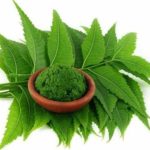 neem-leaf-extract